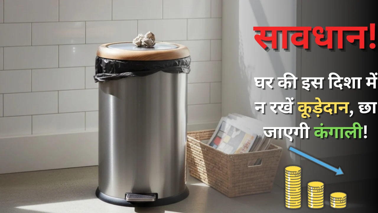 धमाके के बाद धड़ाम! एक्सपर्ट्स ने बताया क्यों गिर रहा है मीशो का शेयर, जानिए क्या है असली वजह